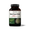 NatureBell Berberine Supplement 1500mg – 240 Veggie Capsules with Ceylon Cinnamon & Turmeric Root, 97% Pure HCL