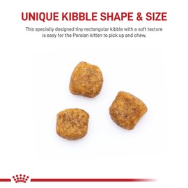 Royal Canin Persian Breed Dry Kitten Food, 3 lb.