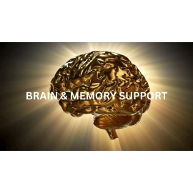 Olanta Trade Solution Mind Matrix Mental Performance Formula - Boost Focus & Clarity - 1 Bottle