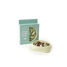 Dragonfly, Slow Down Slow Feeder Dog Bowl (Green)