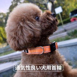 NESTROAD Dog Collar, Adjustable, Night Reflective, For Small, Medium, Large Dogs, Fits All Breeds, Stylish, Mesh, Breathable, Safe, Training, Mesh, Soft, Painless, Easy to Wear, Durable (Orange, S)