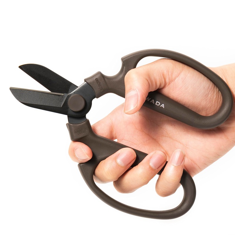 SUWADA Flower Scissor (total length 6.7 inches (170 mm), Made