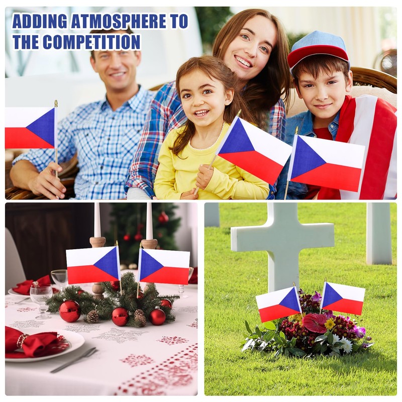 HSQCEZ 12Pcs Small Czech Republic Flags on Wooden Stick Mini