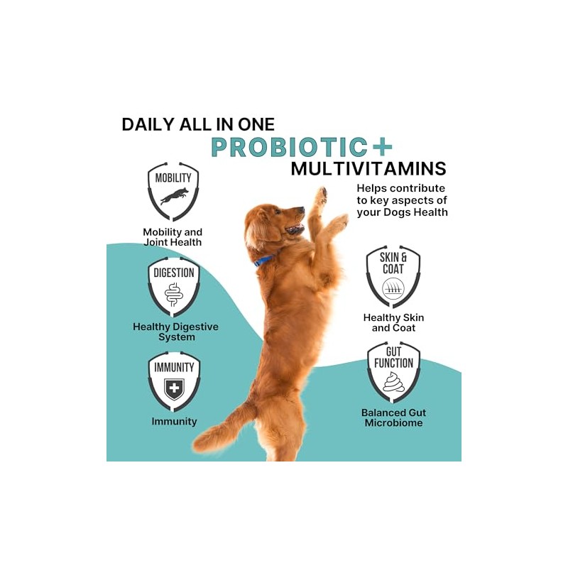 PETECTION for Dogs | Daily All-in-One Probiotic + Multivitamin Supplement