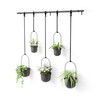 Umbra Triflora Hanging Planter for Window, Indoor Herb Garden, Set