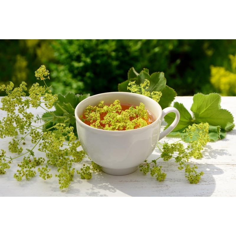Lowhill Valley Lady's Mantle Herb Herbal Tea - Nature's Magic