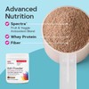 GNC Women's Multi Powder - Chocolate | Supports Overall Wellness,
