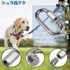 304 Stainless Steel Ring Catch Quick Link Mouth Carabiner Lock