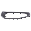 ApplianPar Front Driver and Passenger Side Fog Light Cover for