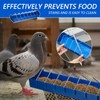 Tioncy 4 Pcs Pigeon Feeder Bird Dispenser Slot Container Poultry