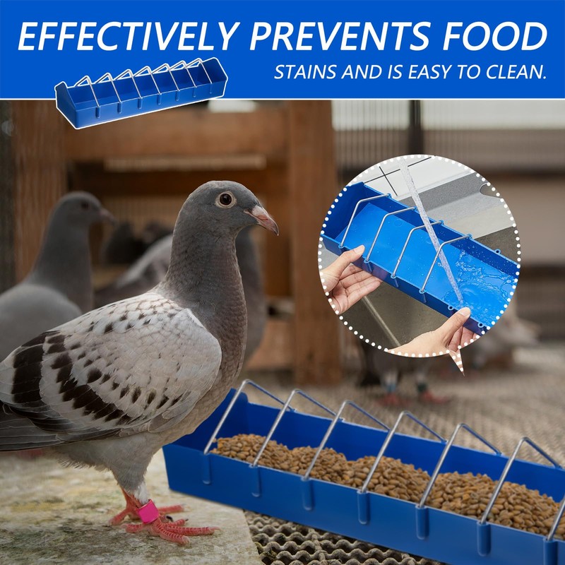 Tioncy 4 Pcs Pigeon Feeder Bird Dispenser Slot Container Poultry