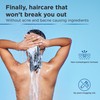 Non-Comedogenic Clear 2 Perfection Shampoo - Sulfate & Paraben-Free for