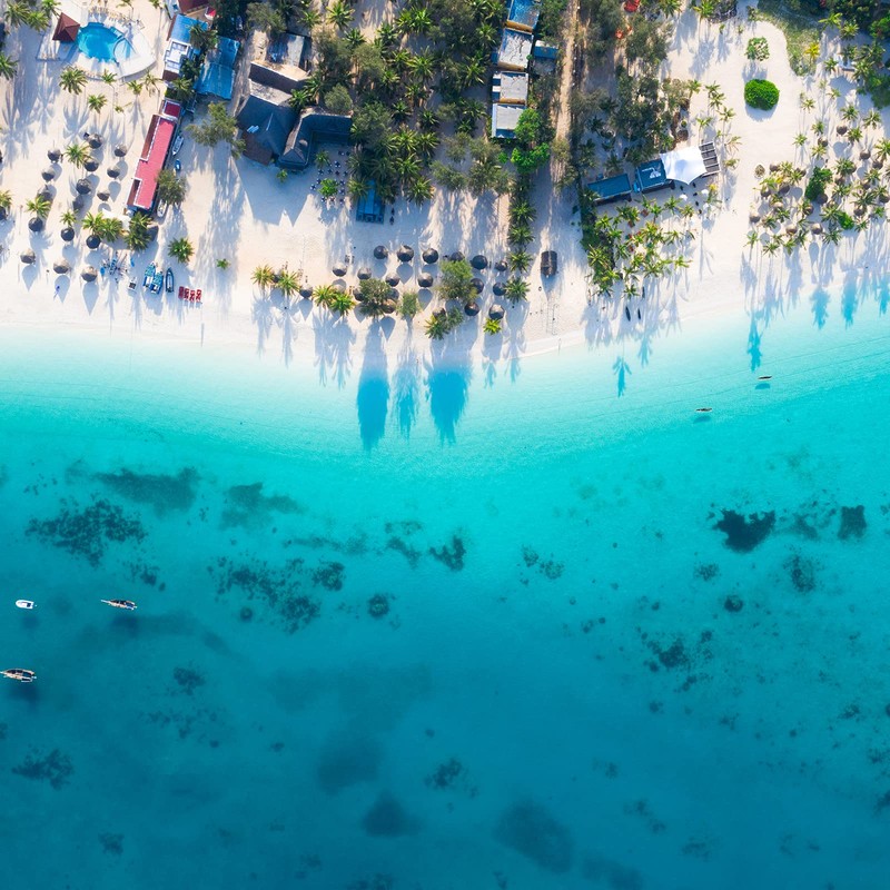 Natscent Fresh Blue Essential Oils for Diffusers for Home, Nature-derived