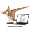 JEKCA Pterodactyl 01S-M02 | Plastic Building Blocks | Age 14+