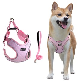 Dog Harness Breathable Vest, Step-in Puppy Harness and Lead Sets, Adjustable Reflective Anti Pull Soft Mesh Padded Puppy Leash for Small Medium Dogs Training or Walking(Pink,L)