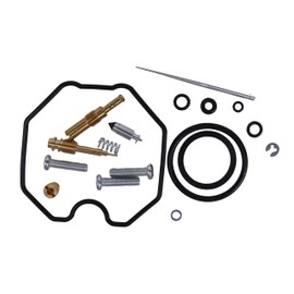 YLQASOON Carburetor Rebuild Kit 26-1325 Compatible with Honda 2006-08 TRX250EX Sportrax 2009/2011-2014 TRX250X