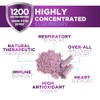 European Elderberry Fruit Extract 1200mg Per Serving Capsules - Sambucus