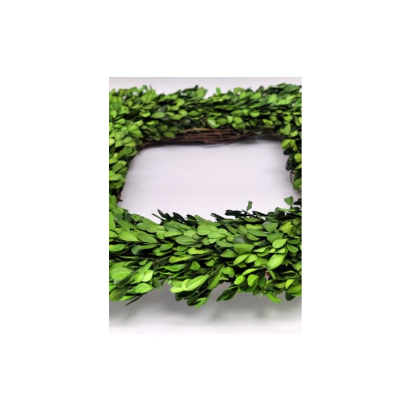 Tradingsmith Preserved Boxwood Square Wreath - 17"