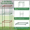 Square Tomato Cages for Garden: 3 Pack Heavy Duty Tomatoes