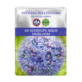 Echinops Seeds Pack - Beautiful Garden Flowers Seeds