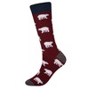 Cansok - Paquete de 2/4 calcetines divertidos para hombre, Osos