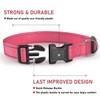 Reflective Dog Collar with Buckle Adjustable Safety Nylon Collars for