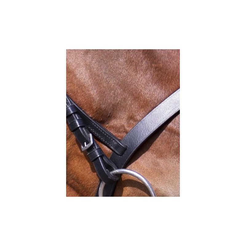 Riding World Bridle Nose Band French Pony Black