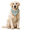 Ambesonne Ice Skates Bandana Collar, Colorful Human on Ice, 16"
