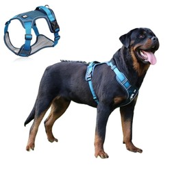 Dog Harness Large Dog No Pull Pet Harness, Adjustable Soft Padded Pet Vest Harness, Reflective No-Choke with Easy Control Handle for Training or Walking Small Medium Large Dogs Q5 (Blue, M)