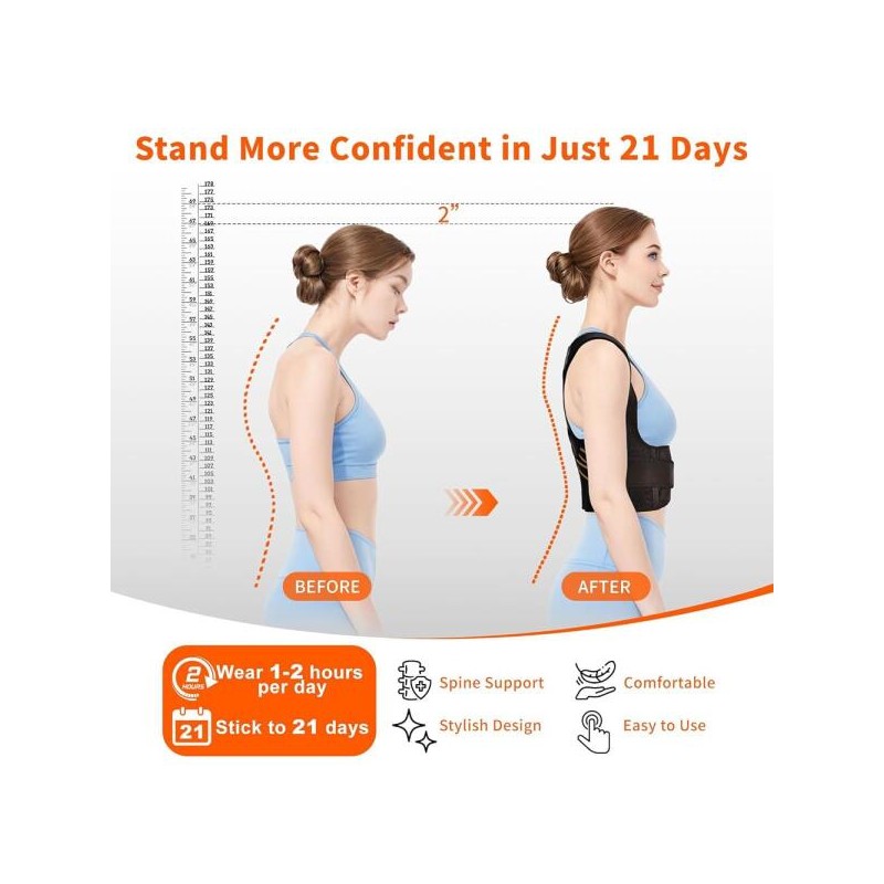 FALCOFIT 남녀용 FALCOFIT 교정기, 즉각적인 허리 조절 가능한 상부 눈에