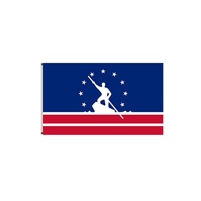 Fyon Virginia banner City of Richmond Flag 3x5ft