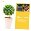 Levemolo 12 Pack Tree Mulch Ring Mats Coir Fiber Coconuts