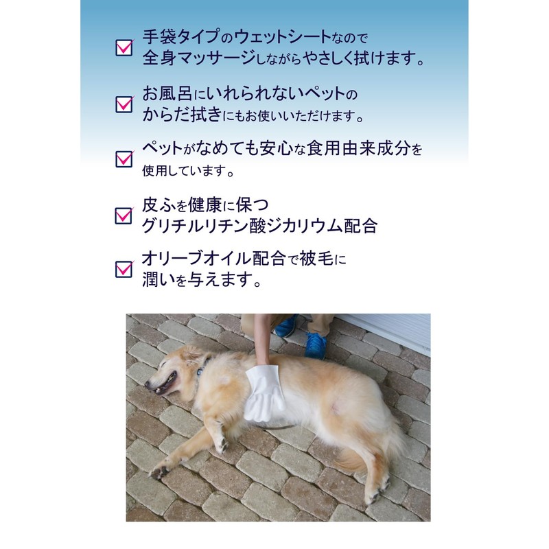 Nape Fuku Wet Gloves, 10 Pieces