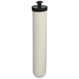 Doulton Ultracarb 10" Water Filter Candle, 2-pack (W9123053)