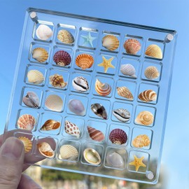 TKODNYD Acrylic Magnetic Seashell Display Box, 36 Grids Shell Storage Box, Magnetic Shell Display Box, Clear Diamond Gemstone Shell Starfish Jewellery Organiser Box, No Shells