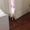 Pet Door Stopper Adjustable Door Strap Pet Gates Cat Door