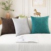 N/A CaliTime 2 Pack Cozy Throw Pillow Covers Cases for