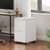 DWVO 2 Drawer File Cabinet, Mobile Filing Cabinet with Lock,
