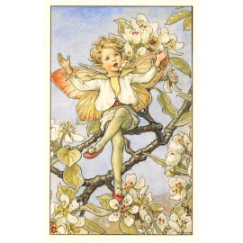 Flower Fairy Postcard: Pear Blossom Fairy, Boy, Singing in Pear Tree