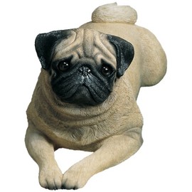 Sandicast Life Size Fawn Pug Sculpture, Lying