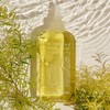 steam base Tea Tree Scalp Water Scaler Cooling, 250ml, 2