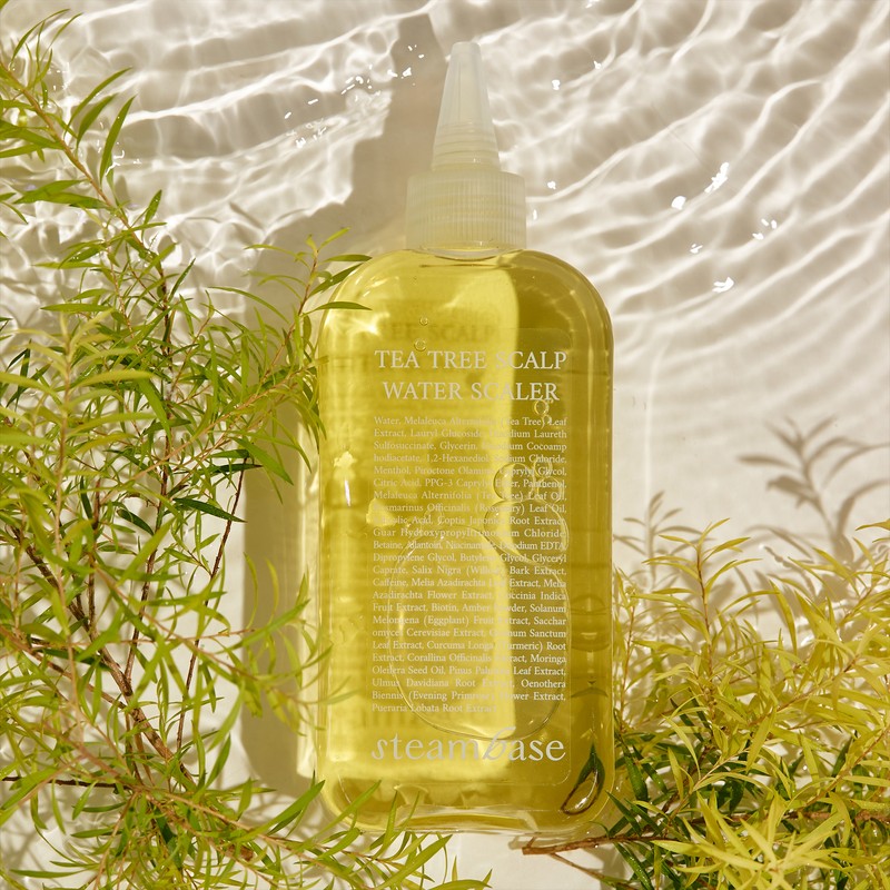 steam base Tea Tree Scalp Water Scaler Cooling, 250ml, 2
