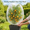 Plant Protection Netting for Fruit Trees & Garden Plants –