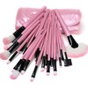 20 Piece Professional Makeup Brush Set Pink