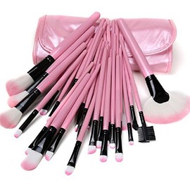 20 Piece Professional Makeup Brush Set Pink