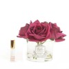 Cote Noire-Five Roses in Clear and Carmine Red