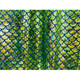 Mermaid Scale Fish Story Foil Iridescent Stretch Spandex Fabric - 150cm Wide - Green on Blue (Per Metre)