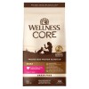 Wellness Core Grain Free Dry Cat Food Turkey Duck Recipe