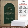 LYMA Bedding Pillowcase 80 x 80 cm, Set of 2,