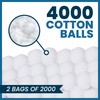 Oasis Medium Cotton Balls, 4000 Bulk Count, Soft & Absorbent
